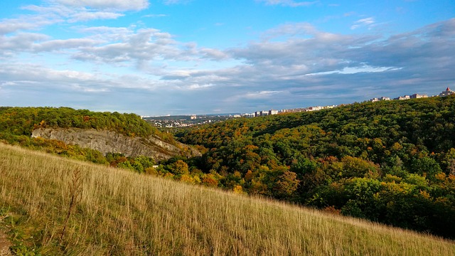 Divoká Šárka