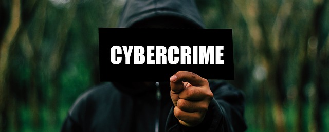 kybernetický zločinec